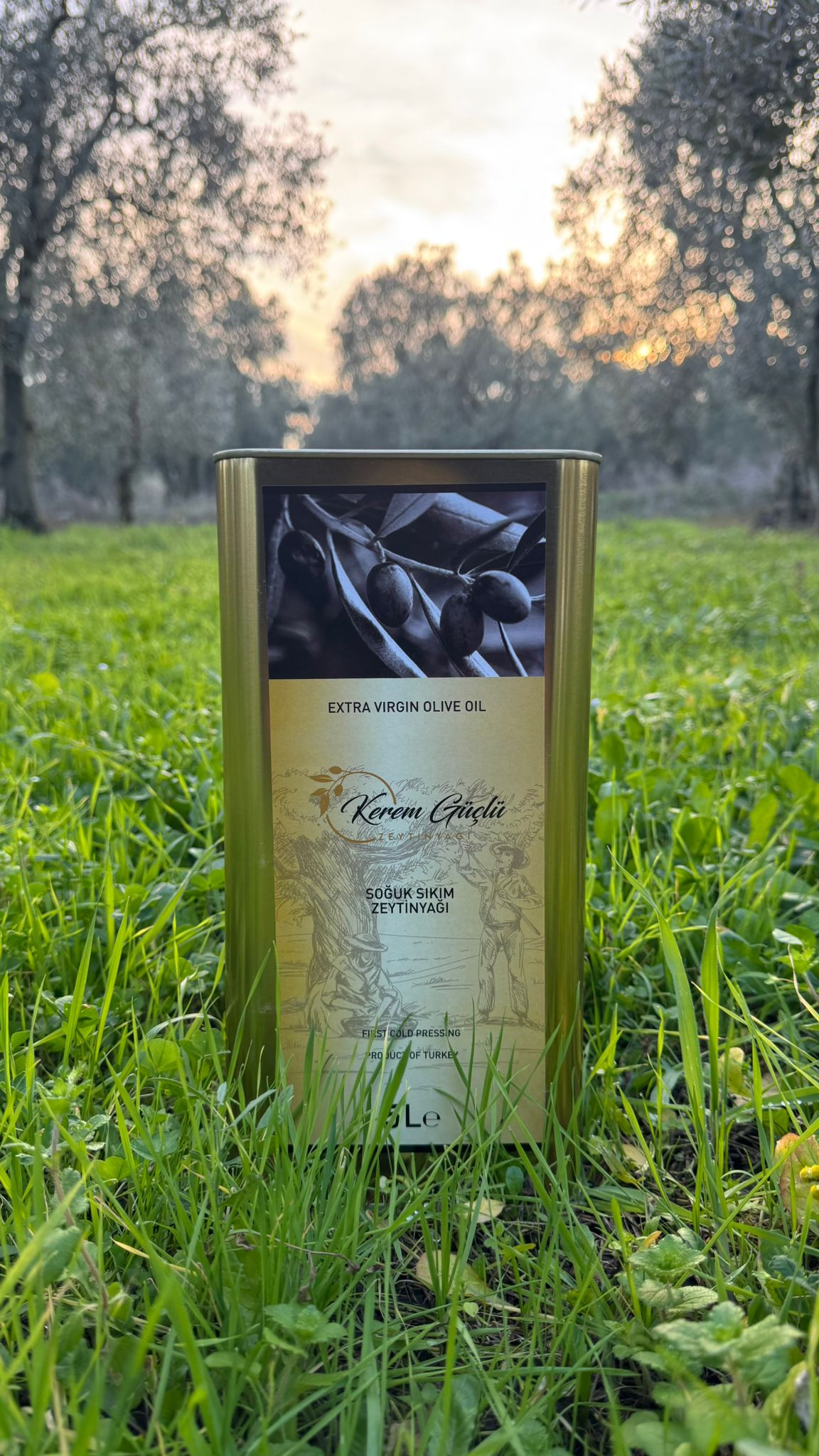 5 Litre Soğuk Sıkım Zeytinyağı - Kerem Güçlü Zeytinyağı Fabrikası